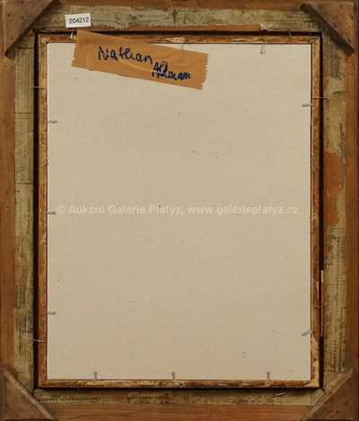  / Muž / Nathan Altman