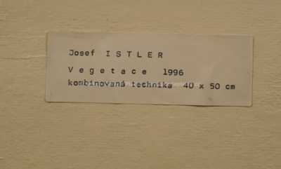  / Vegetace / Josef  Istler