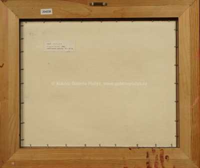  / Vegetace / Josef  Istler