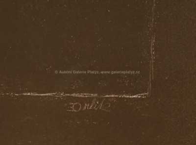  / Studie portrétu / Emil Orlík