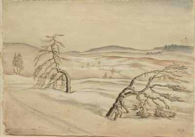  / Staré stromy / Franz Gruss