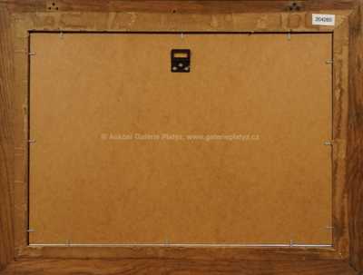  / Staré stromy / Franz Gruss