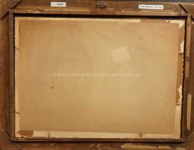  / Zákoutí na Labi / Václav Radimský