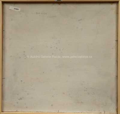  / Dvě vázy / Vladimír Komárek