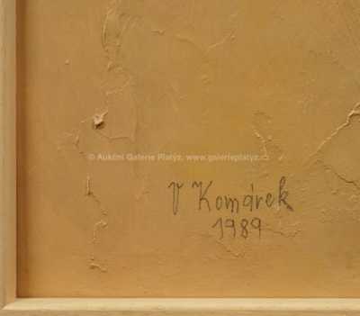  / Dvě vázy / Vladimír Komárek