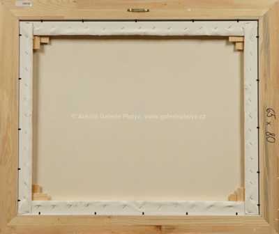  / GIRO DI ITALIA / František Ringo Čech