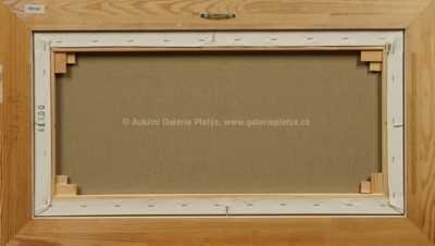  / Surfing in USA / František Ringo Čech