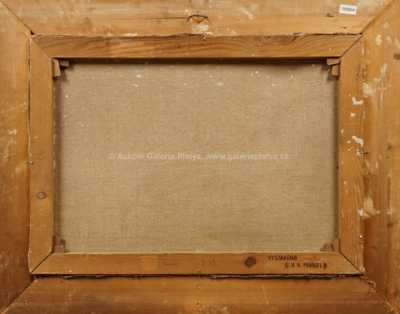  / Koupání / Václav F. Ulšmíd