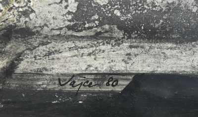  / Zátiší pro Borise Pasternaka / Stanislav  Vajce