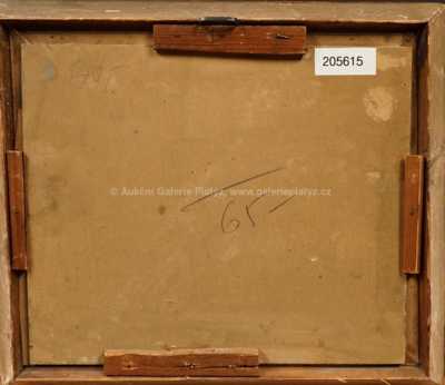  / Kameny na louce / Pavel Šimon