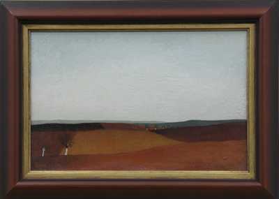 Vlastimil Beneš - Pole u Krakovan