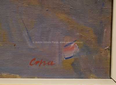  / Ležící akt / Zdeněk Crha