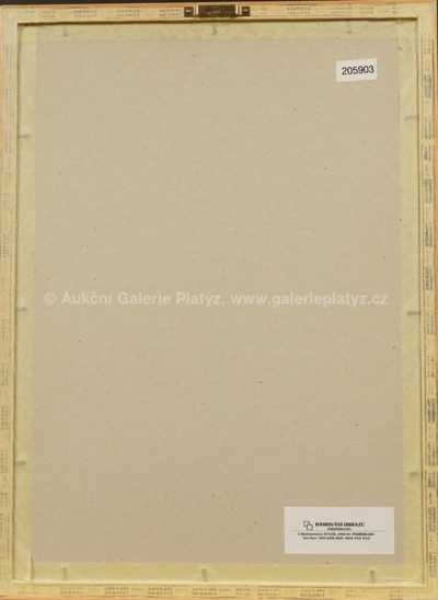  / Ifigenie / Olbram Zoubek