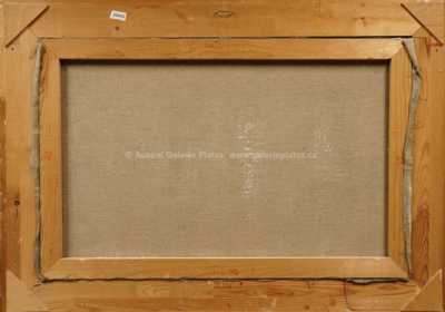  / Z Malé strany / Jaroslav Kotas