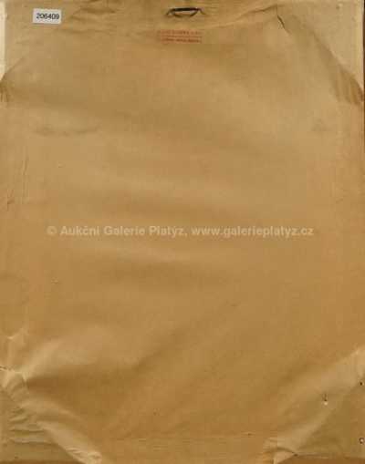  / Na poli / Alois Schneiderka