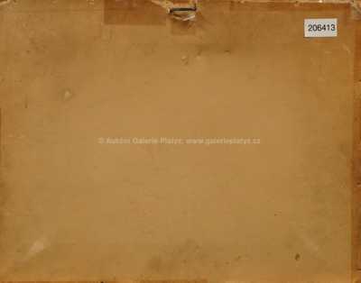  / Domek u vody / Hans Dvořák