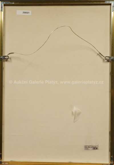  / Noční let Rudolfa II. / Adolf Born