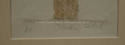  / Zima / Olbram Zoubek