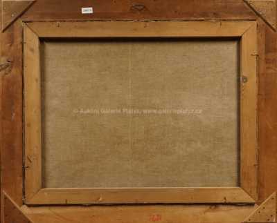  / Prachovské skály / František Daněk - Sedláček