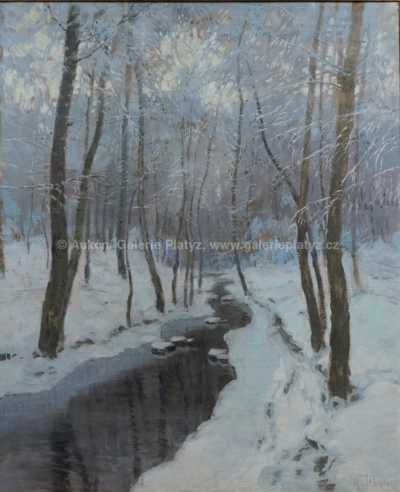  / Zimní potok / Karel Schadt