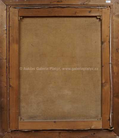  / Zimní potok / Karel Schadt