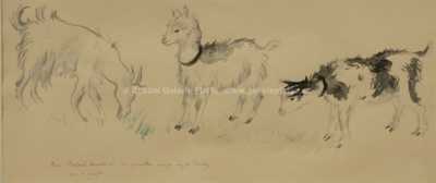  / Studie / Cyril Bouda