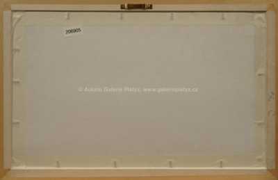  / Studie / Cyril Bouda