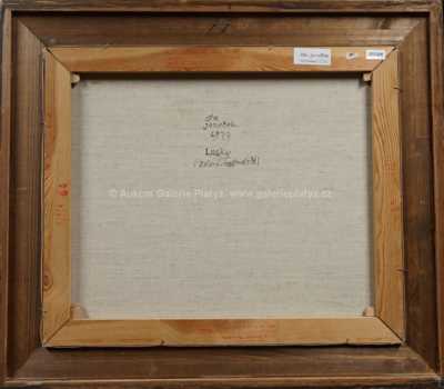  / Lusky / Ota Janeček