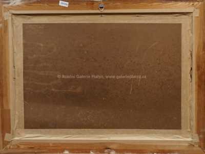  / Na louce / Otto Molitor