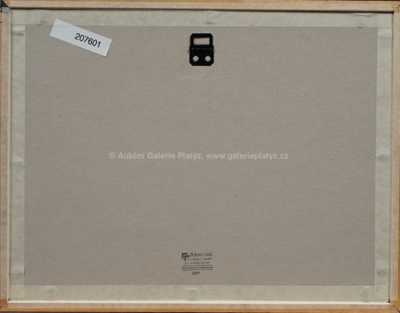  / Příběhy tygřího mláděte / Zdeněk Burian