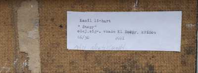  / Stopy / Kamil Linhart