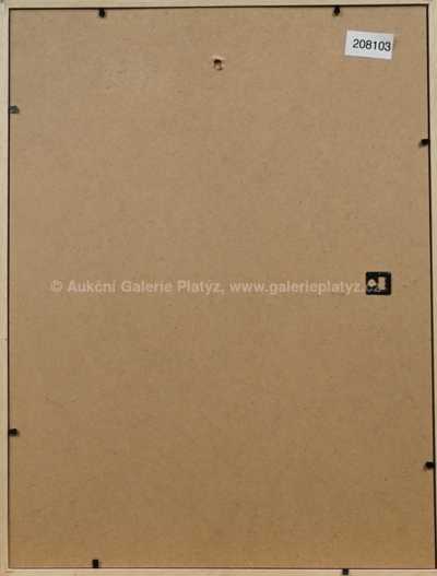  / Chlapec s knihou / František Drtikol