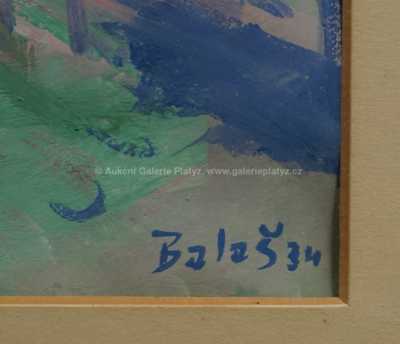  / Pohled na město / Zdeněk  Balaš