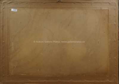  / Pohled na město / Zdeněk  Balaš