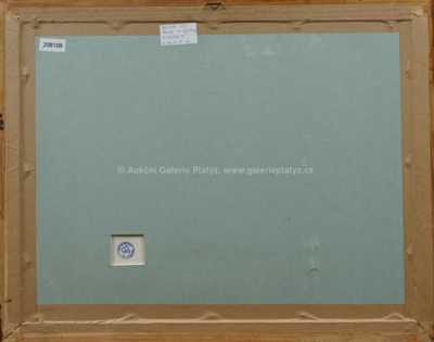  / Pohled na Vyšehrad / Jiří Balcar