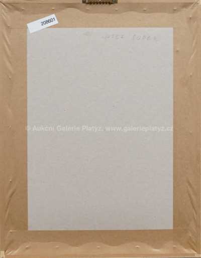  / Portrét malíře Filly / Josef Sudek