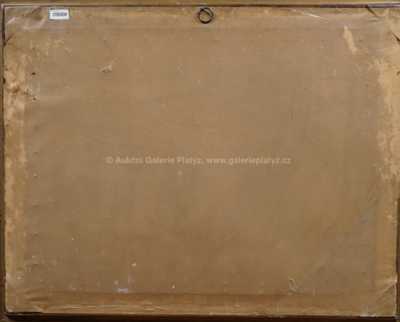  / Na poli / F. Hanuš  Hérink