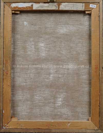  / Motiv z Indie / Jaromír Skřivánek