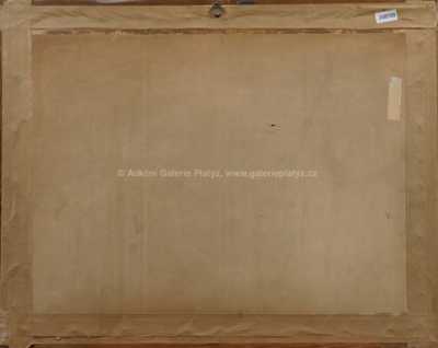  / Na poli / Vojtěch  Sedláček