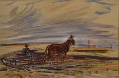  / Na poli / Vojtěch  Sedláček