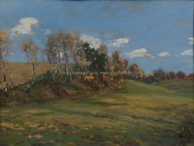  / Březový háj / Jaroslav Panuška