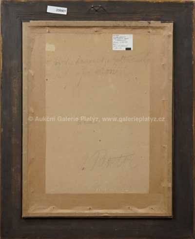  / V Kozích kamenech v Žalmanských Horách / Josef Rektor