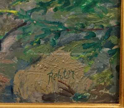  / V Kozích kamenech v Žalmanských Horách / Josef Rektor