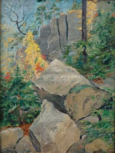  / V Kozích kamenech v Žalmanských Horách / Josef Rektor