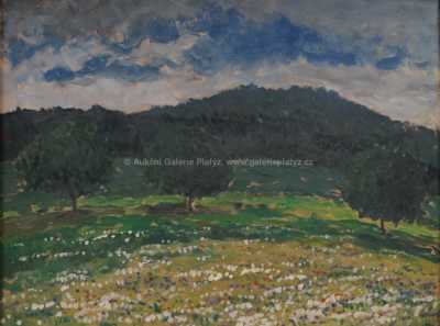  / Rozkvetlá louka / Gustav Macoun