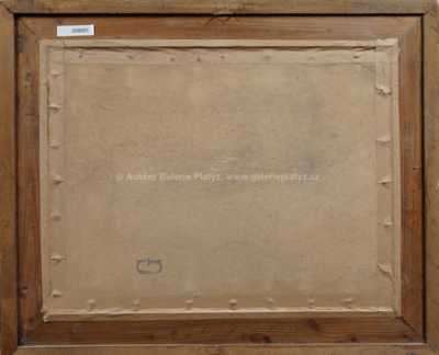  / Rozkvetlá louka / Gustav Macoun