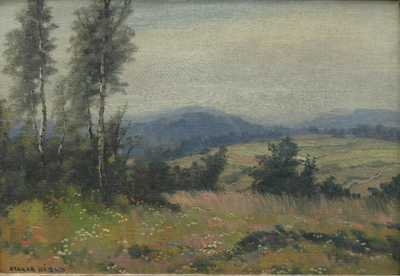  / Rozkvetlá louka / Otakar Hůrka