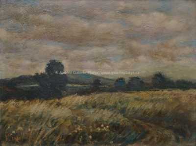  / Louka ve větru / Karel Randa