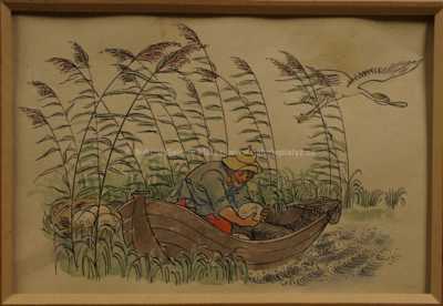  / Ilustrace ke knize  / Milada Marešová