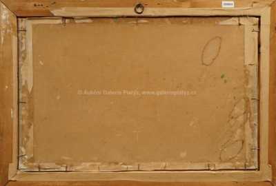  / Pohled na zříceninu / Josef Krejsa